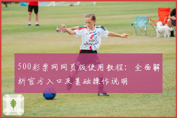 500彩票网网页版使用教程：全面解析官方入口及基础操作说明